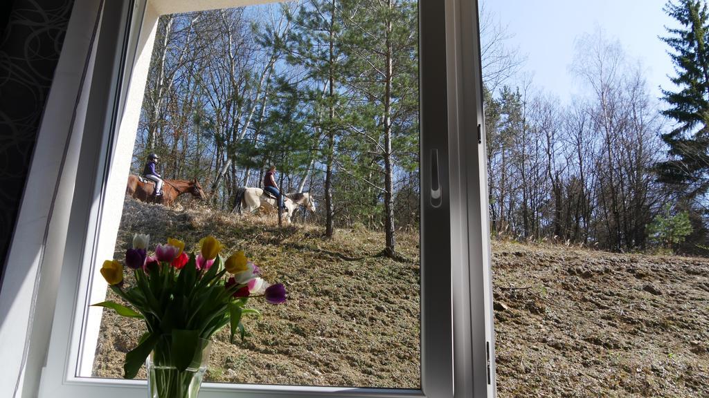 Vsemina Apartman Luzkovice Dış mekan fotoğraf